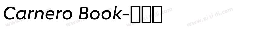 Carnero Book字体转换